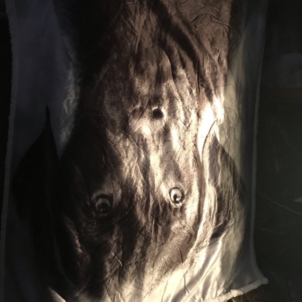 Brand new black lab throw blanket